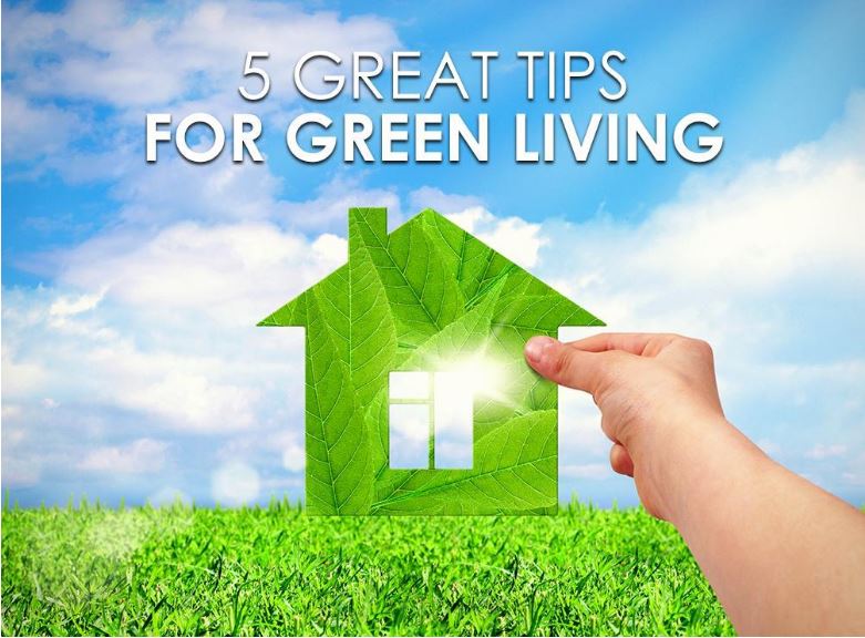 https://www.handymanconnection.net/blueash/wp-content/uploads/sites/10/2021/05/3-1.jpg