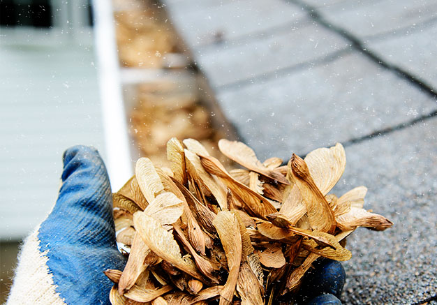 https://www.handymanconnection.net/blueash/wp-content/uploads/sites/10/2021/05/Maintenance1.jpg