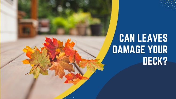 https://www.handymanconnection.net/brantford/wp-content/uploads/sites/12/2023/09/Brantford-Handyman_-Can-Leaves-Damage-Your-Deck.jpg