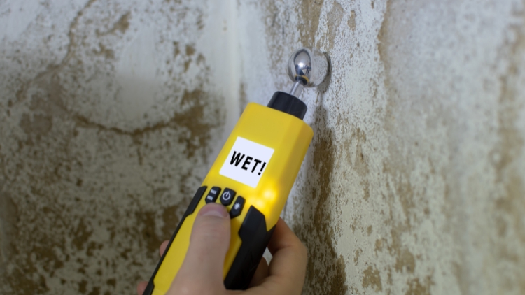 Proactive Measures for Basement Walls
