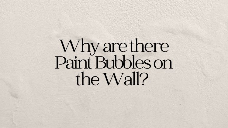 https://www.handymanconnection.net/calgary/wp-content/uploads/sites/14/2025/01/Banner_-Why-are-there-Paint-Bubbles-on-the-Wall.jpg