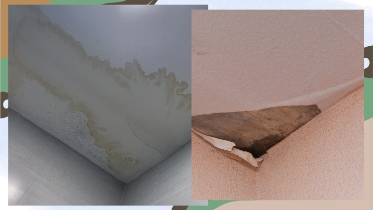 https://www.handymanconnection.net/calgary/wp-content/uploads/sites/14/2025/09/Water-Damage-On-The-Ceiling_-What-It-Means-And-How-To-Fix-It.jpg