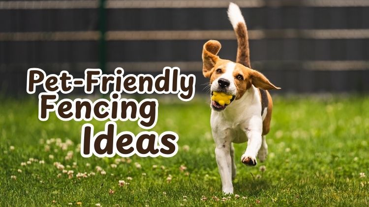 https://www.handymanconnection.net/calgary/wp-content/uploads/sites/14/2026/02/Secure-Your-Outdoor-Space-Handyman-Solutions-for-Pet-Friendly-Fencing.jpg
