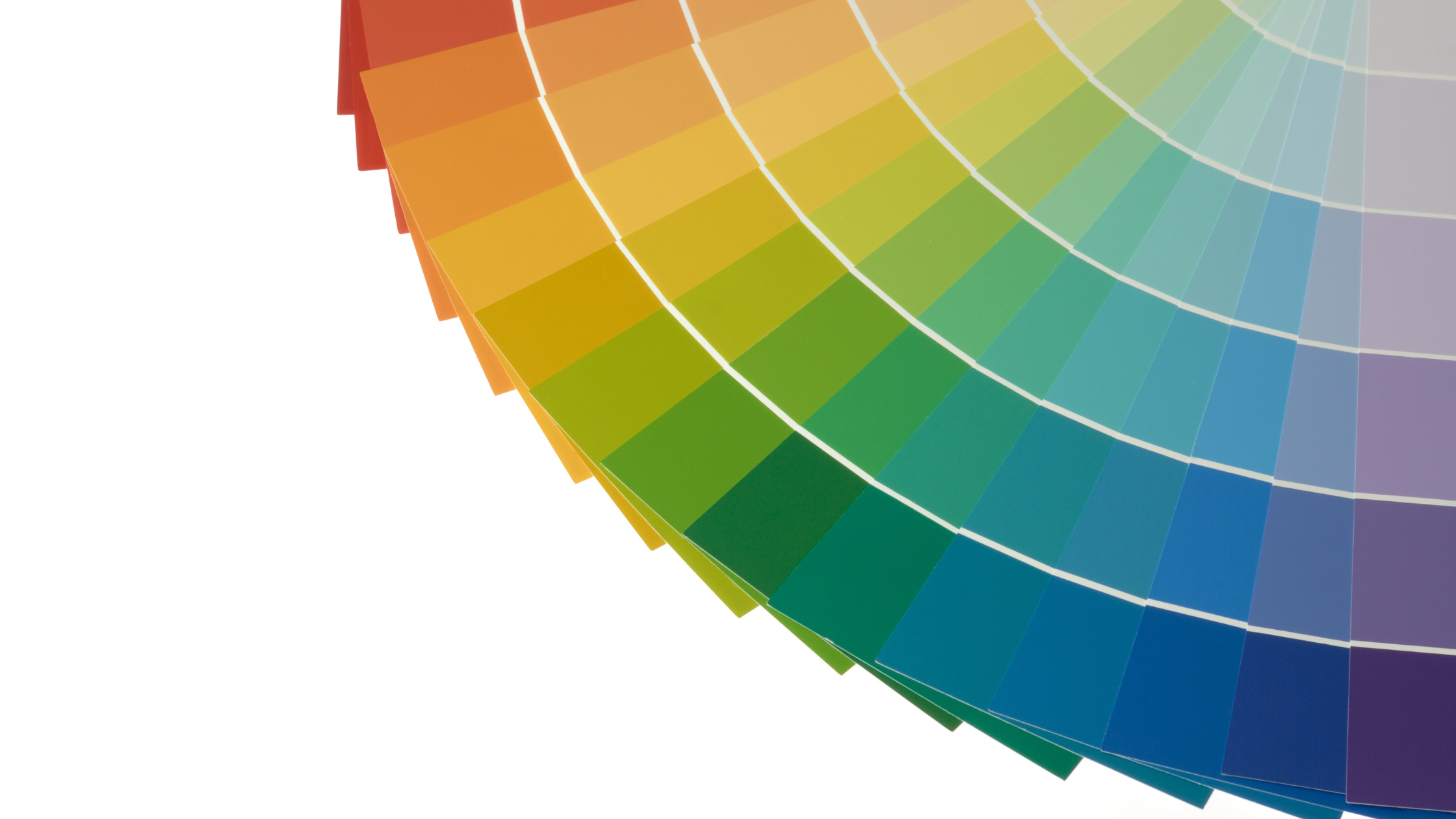 paint swatches