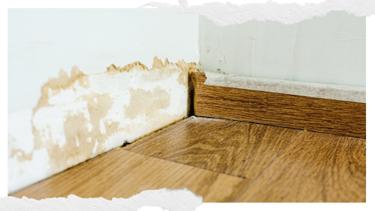 Top Signs Of Serious Drywall Damage