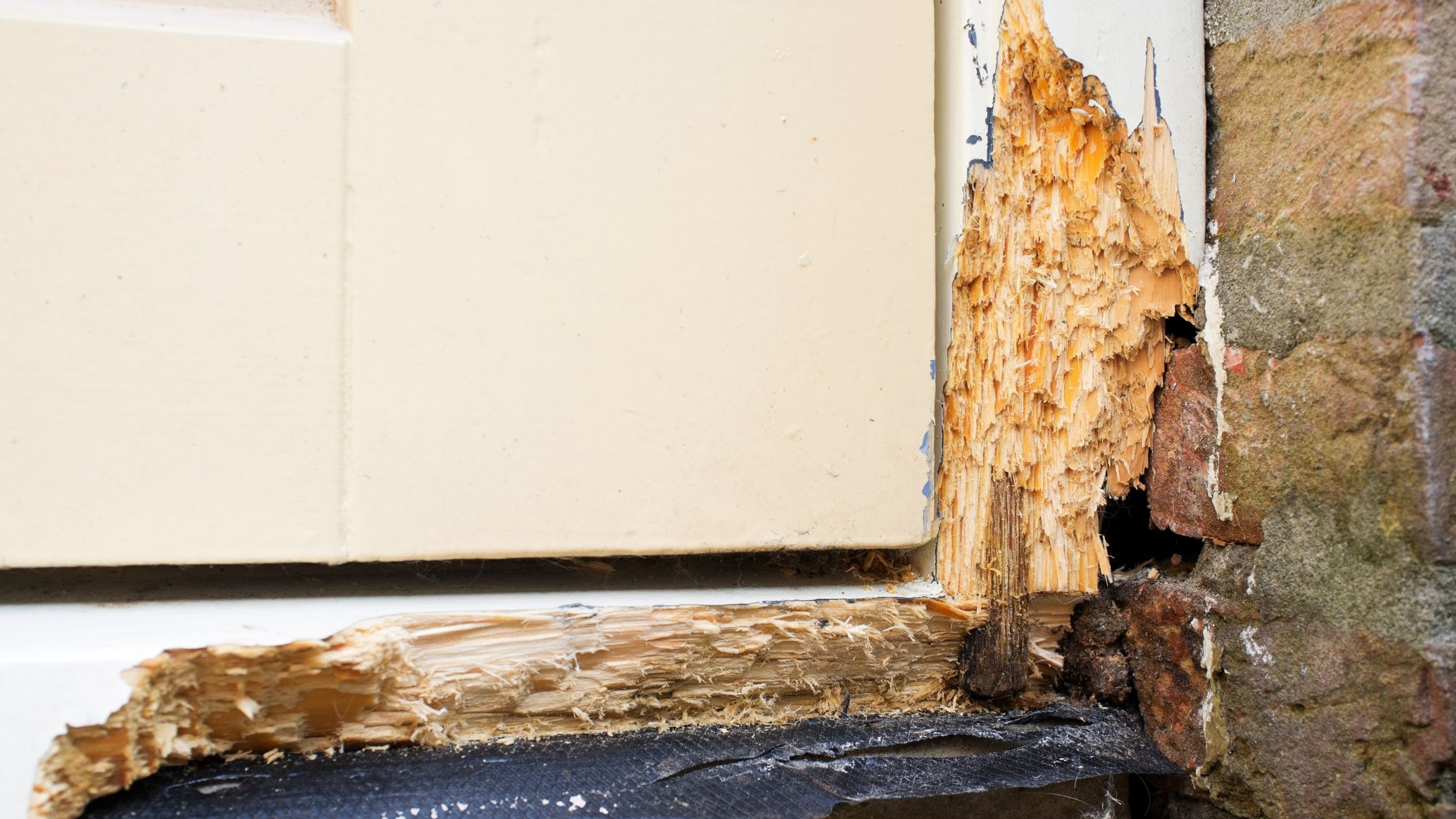 https://www.handymanconnection.net/grapevine/wp-content/uploads/sites/22/2022/08/wood-rot.jpg