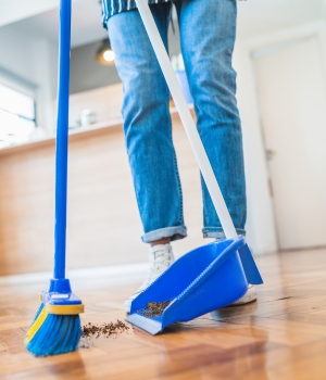 Sweep and Vacuum Regularly