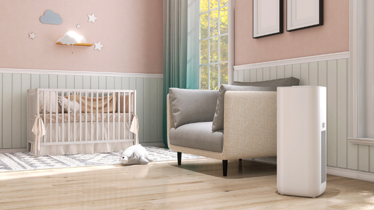 Adding Warmth with Carpentry: Beyond the Visual Appeal