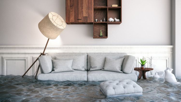https://www.handymanconnection.net/hamilton/wp-content/uploads/sites/73/2025/02/Handyman-Hamilton-How-We-Can-Help-After-A-Flood.jpg