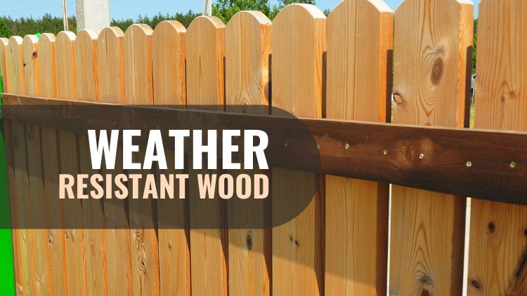 https://www.handymanconnection.net/hamilton/wp-content/uploads/sites/73/2025/03/Weather-Resistant-Wood.jpg