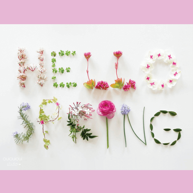 https://www.handymanconnection.net/kelowna/wp-content/uploads/sites/24/2021/05/Springtime-1.png