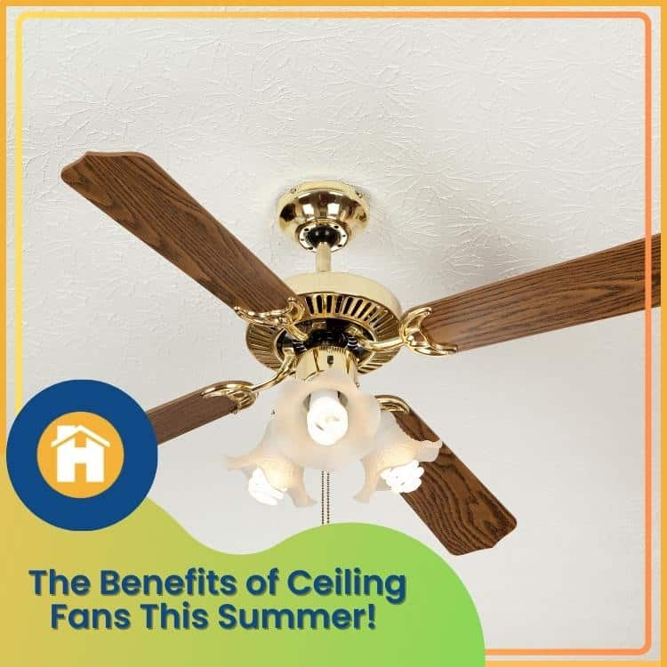 https://www.handymanconnection.net/kelowna/wp-content/uploads/sites/24/2023/06/Kelowna-Electrician_-The-Benefits-of-Ceiling-Fans-This-Summer.jpg