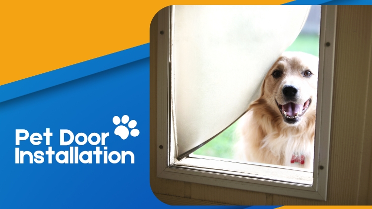 https://www.handymanconnection.net/kelowna/wp-content/uploads/sites/24/2026/04/Pet-Door-Installation_-What-to-Expect-from-the-Pros.jpg