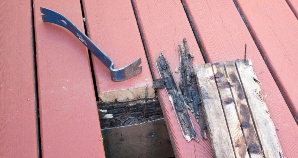 How to Spot Rotted Wood Damage