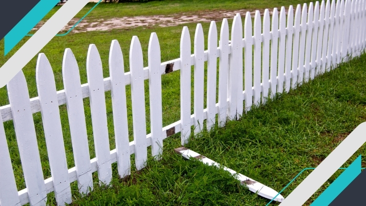 https://www.handymanconnection.net/kitchener/wp-content/uploads/sites/25/2025/08/Repair-or-Replace-Damaged-Fence-Panels.jpg