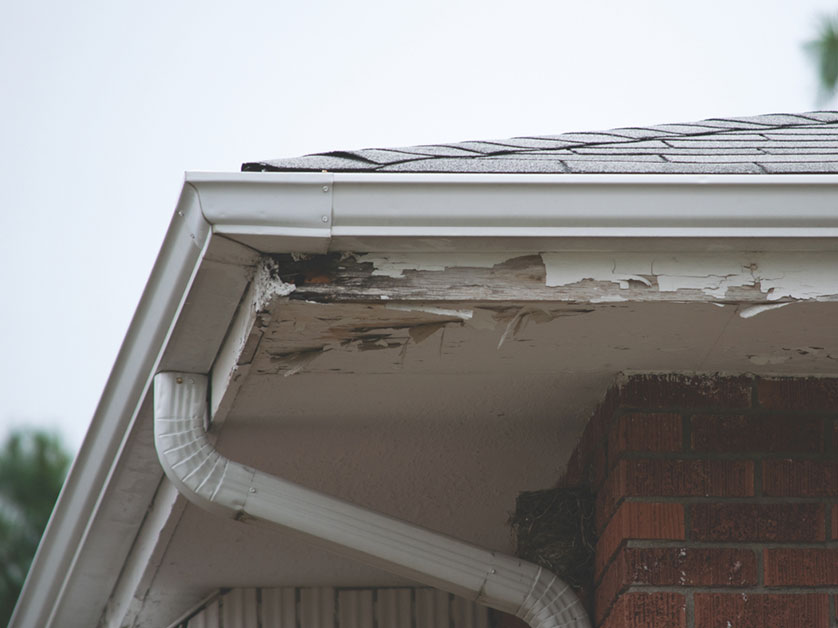 https://www.handymanconnection.net/mason/wp-content/uploads/sites/29/2026/09/Home-Repair.jpg