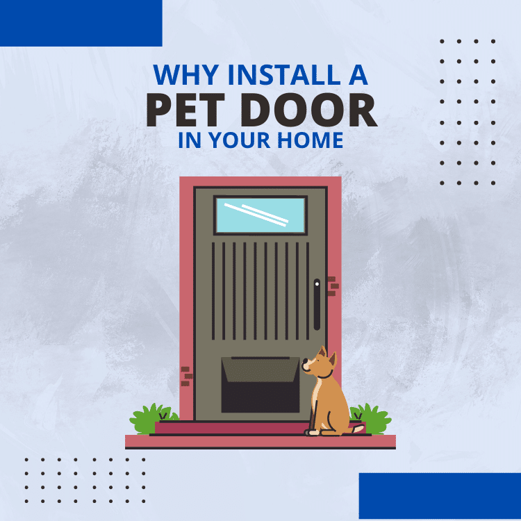 https://www.handymanconnection.net/mckinney-frisco/wp-content/uploads/sites/31/2023/07/Pet-Door.png