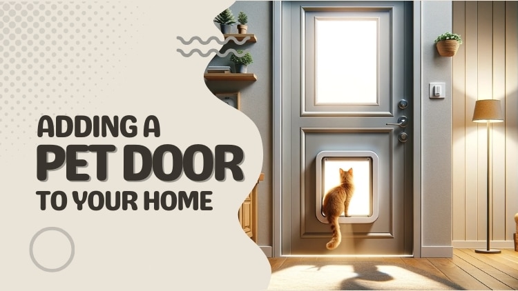 https://www.handymanconnection.net/mckinney-frisco/wp-content/uploads/sites/31/2024/03/Carpenter-in-McKinney_-Adding-a-Pet-Door-To-Your-Home.jpg