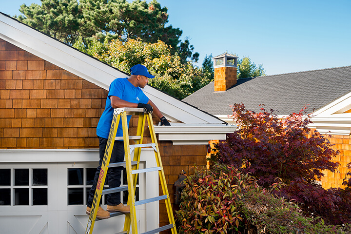handyman cleaning gutters on top of a ladder in Princeton, TX