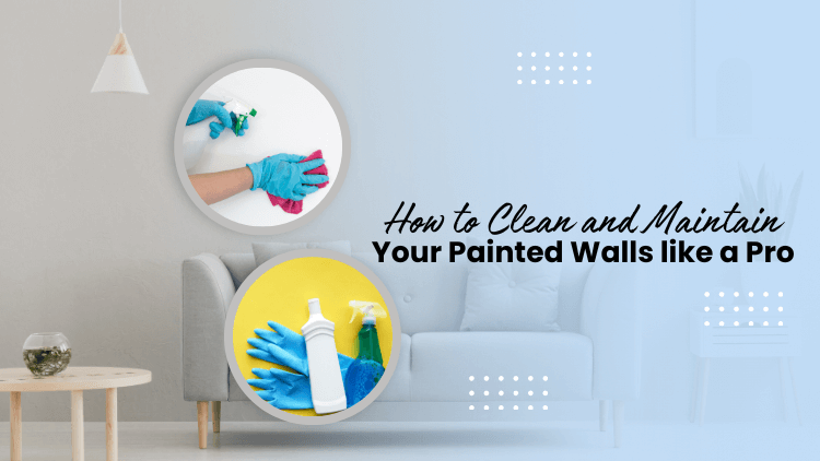 https://www.handymanconnection.net/mckinney/wp-content/uploads/sites/31/2023/08/Collin-County-Handyman-How-to-Clean-and-Maintain-Your-Painted-Walls-Like-a-Pro.png