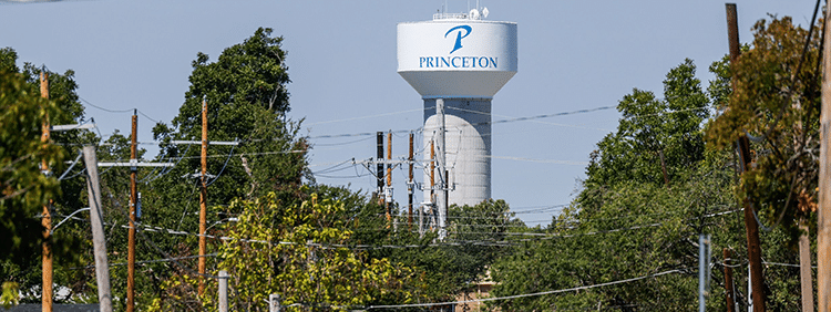 Handyman Princeton Texas