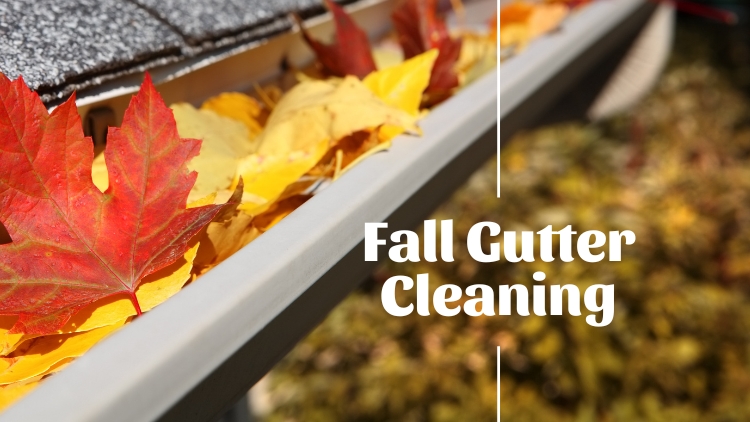 https://www.handymanconnection.net/mississauga/wp-content/uploads/sites/66/2024/10/Fall-Gutter-Cleaning.jpg