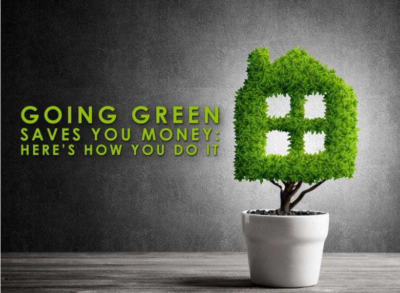 Going Green Saves You Money: Here’s How You Do It Going Green