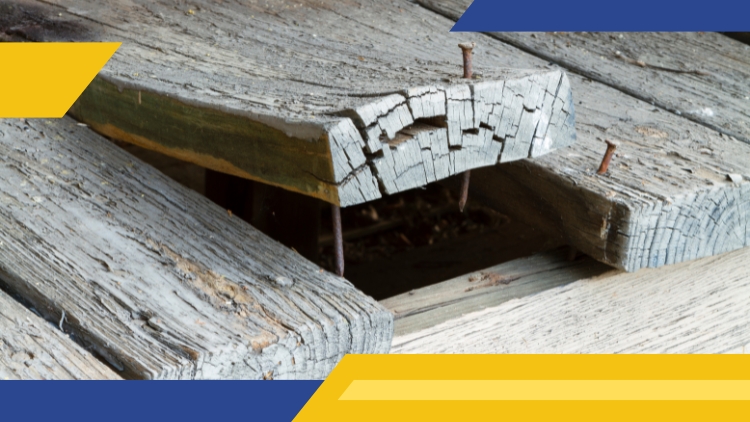 https://www.handymanconnection.net/ottawa/wp-content/uploads/sites/38/2024/07/How-Handyman-Connection-in-Ottawa-Can-Help-Repair-Warped-Decking.jpg