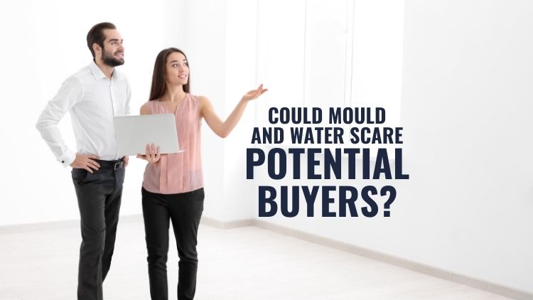 https://www.handymanconnection.net/ottawa/wp-content/uploads/sites/38/2024/11/Could-Mould-And-Water-Scare-Potential-Buyers.jpg