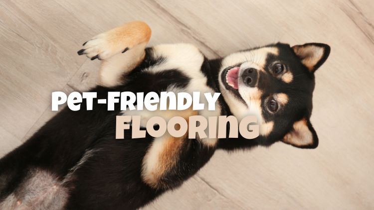 https://www.handymanconnection.net/ottawa/wp-content/uploads/sites/38/2025/01/Pet-Friendly-Flooring.jpg