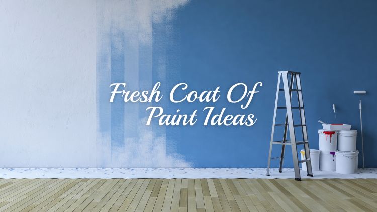 https://www.handymanconnection.net/ottawa/wp-content/uploads/sites/38/2025/08/How-a-Fresh-Coat-of-Paint-Transforms-a-Room-Without-Renovating.jpg