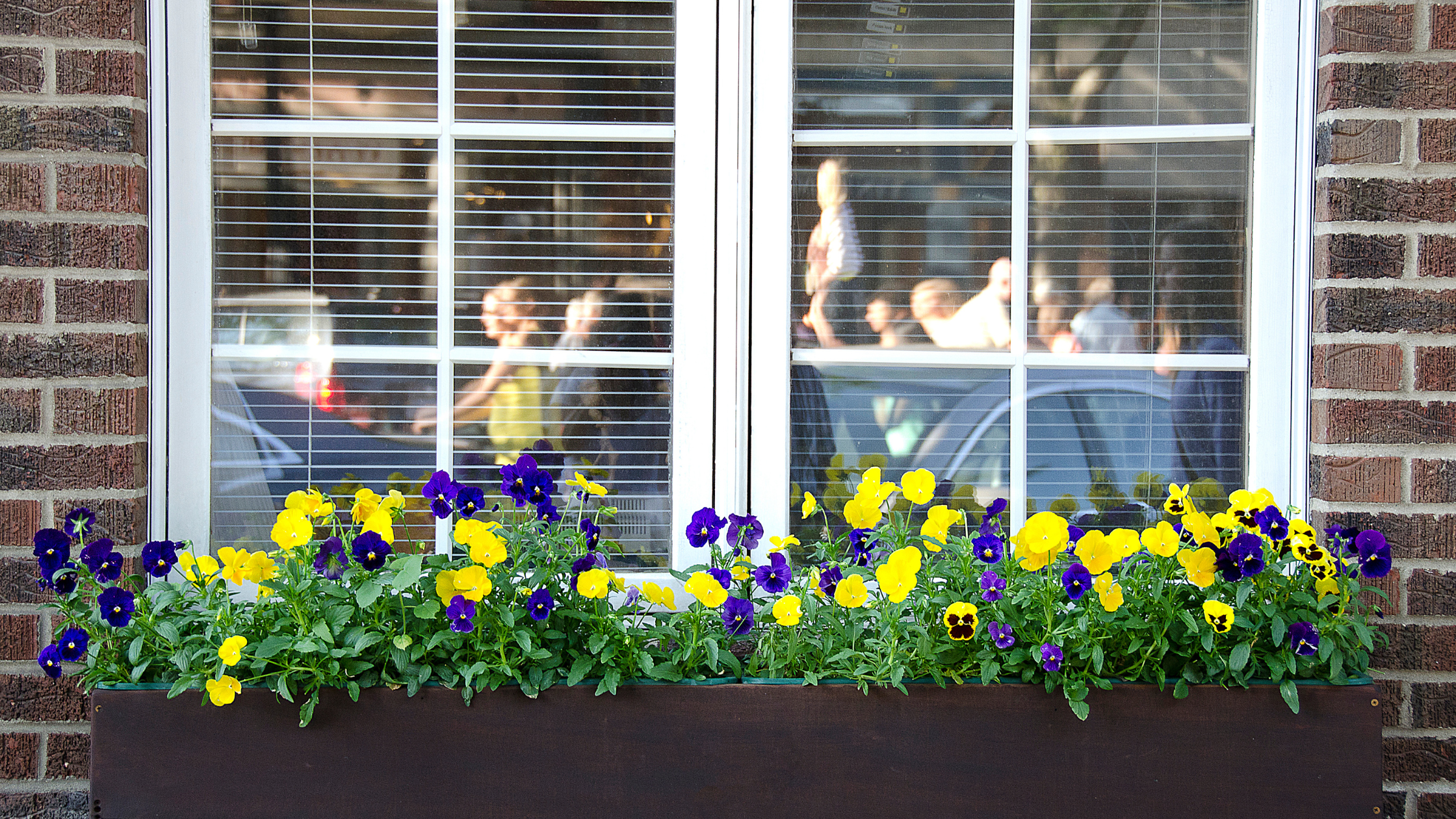 https://www.handymanconnection.net/overland-park/wp-content/uploads/sites/23/2022/09/window-box.png