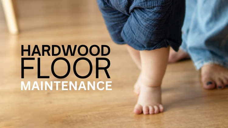 https://www.handymanconnection.net/red-deer/wp-content/uploads/sites/42/2024/10/Hardwood-Floor-Maintenance.jpg