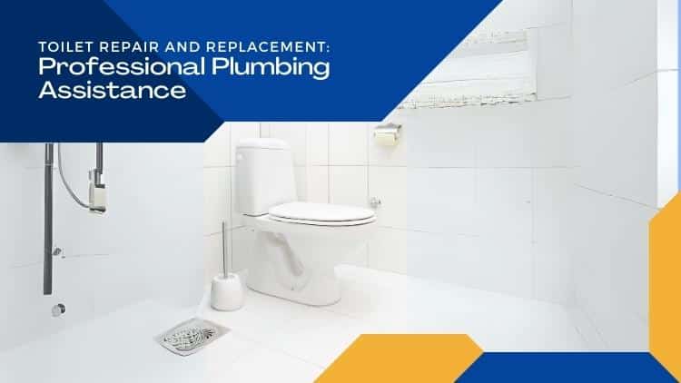 Toilet Repair and Replacement