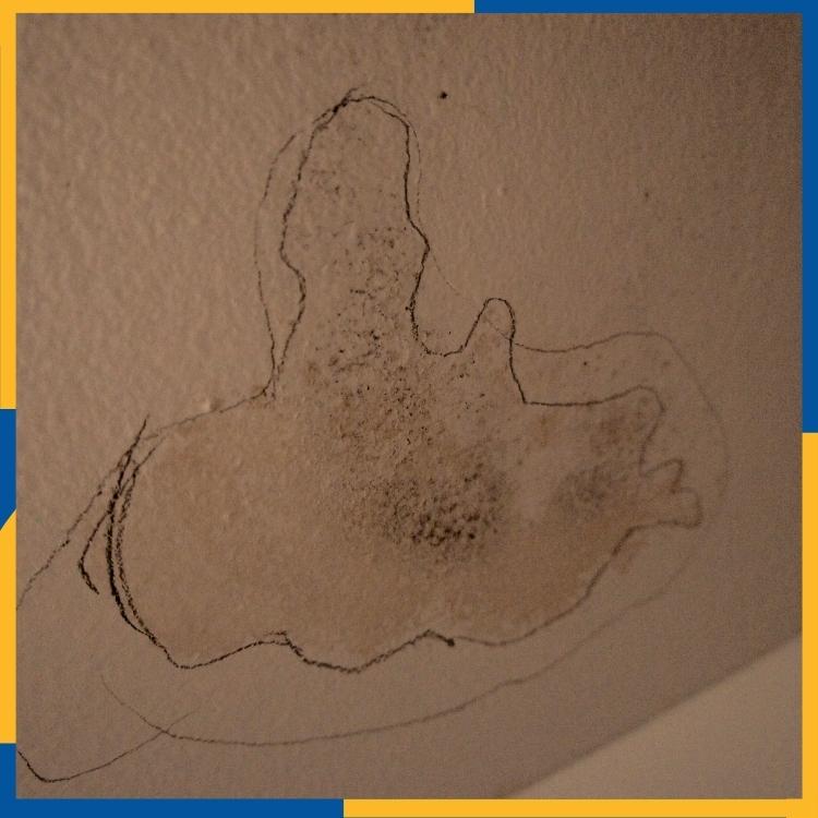 https://www.handymanconnection.net/saskatoon/wp-content/uploads/sites/45/2022/04/Saskatoon-Home-Repair-What-Causes-Drywall-To-Buldge.jpg