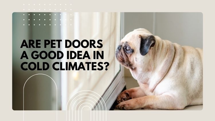 https://www.handymanconnection.net/saskatoon/wp-content/uploads/sites/45/2024/05/Are-Pet-Doors-A-Good-Idea-In-Cold-Climates.jpg