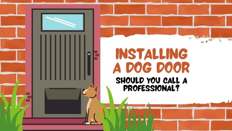 https://www.handymanconnection.net/saskatoon/wp-content/uploads/sites/45/2025/08/Installing-A-Dog-Door_-Should-You-Call-A-Professional.jpg