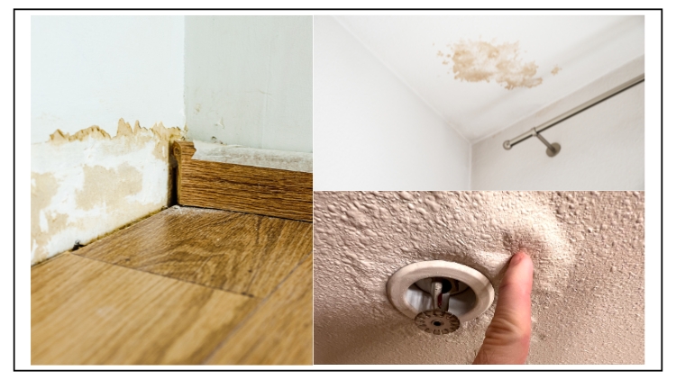 https://www.handymanconnection.net/saskatoon/wp-content/uploads/sites/45/2025/11/How-to-Spot-and-Repair-Water-Damage-in-Your-Home.jpg