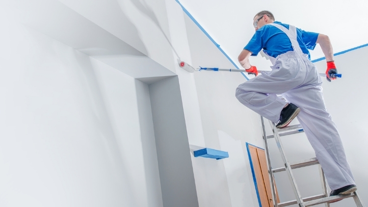 Where Fresh Walls Make the Biggest Difference