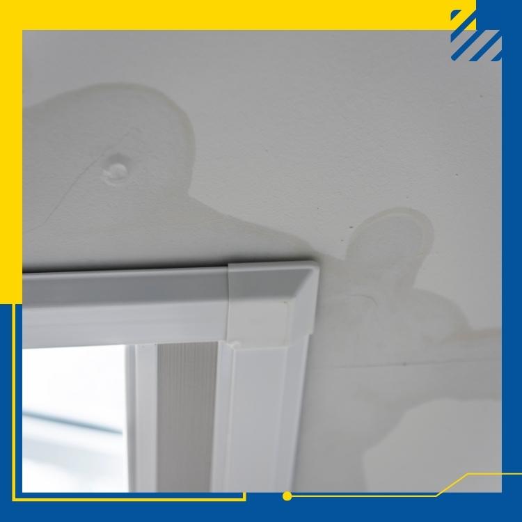 Vancouver Drywall Services Can Drywall Be Fixed After Water Damage?