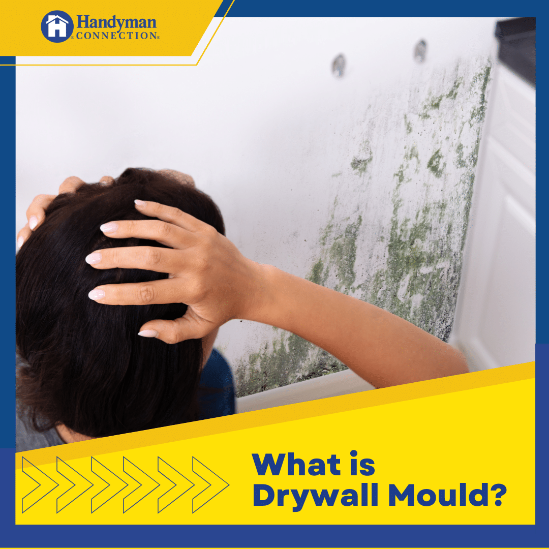 https://www.handymanconnection.net/vancouverbc/wp-content/uploads/sites/32/2023/04/Vancouver-Drywall-Repair-Everything-You-Need-to-Know-About-Drywall-Mould.png