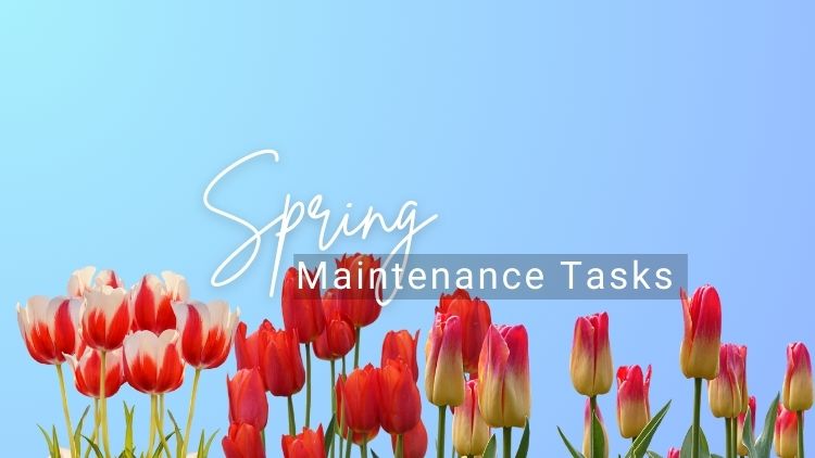 5 Small Maintenance Tasks That Handyman Can Do To Help Your Prepare For Spring