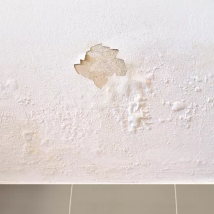 Why Replace Your Drywall After Moisture Damage