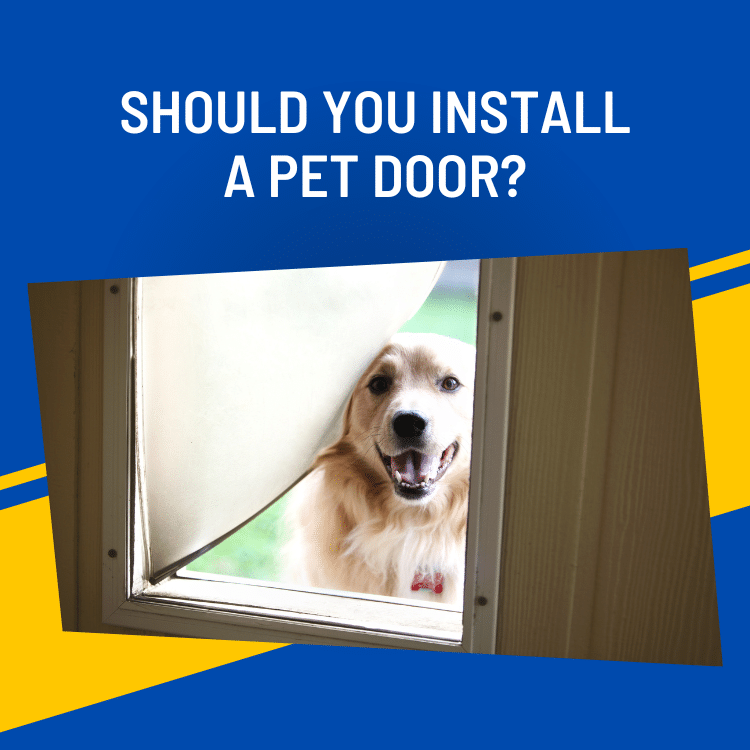 Should you install a pet door