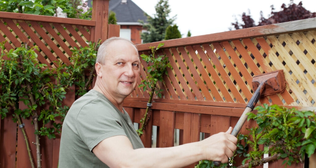 Top Fence Colour Trends for 2025