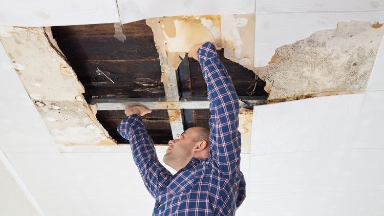 Man fixing the roof leak