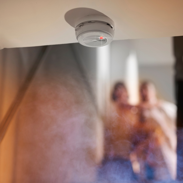 https://www.handymanconnection.net/victoria/wp-content/uploads/sites/52/2022/08/Smoke-Alarm-Maintenance-Tips-2.png