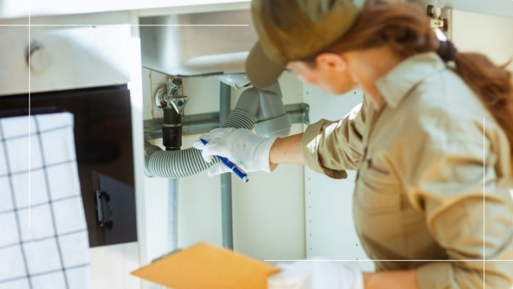 https://www.handymanconnection.net/victoria/wp-content/uploads/sites/52/2026/02/Is-Your-Kitchen-Layout-Changing_-What-Plumbing-Work-Should-You-Expect.jpg