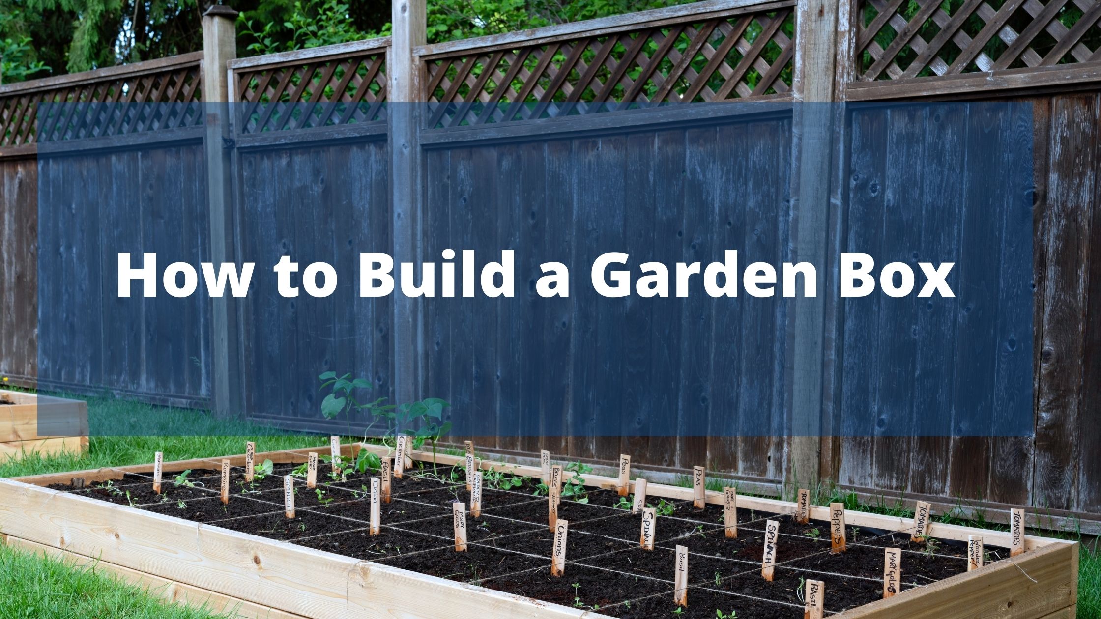 https://www.handymanconnection.net/wp-content/uploads/2021/06/How-to-Build-a-Garden-Box.jpg