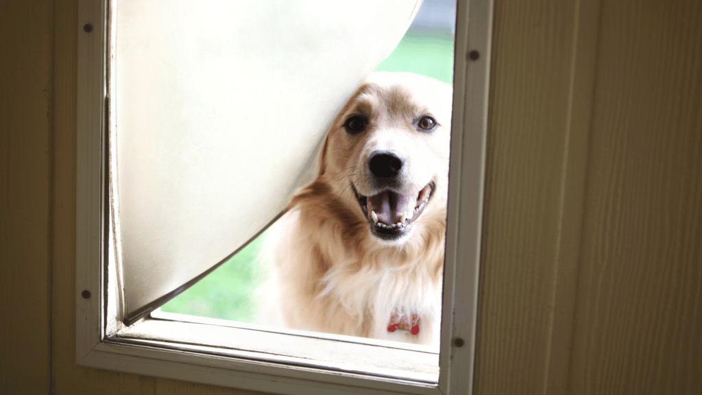 pet door